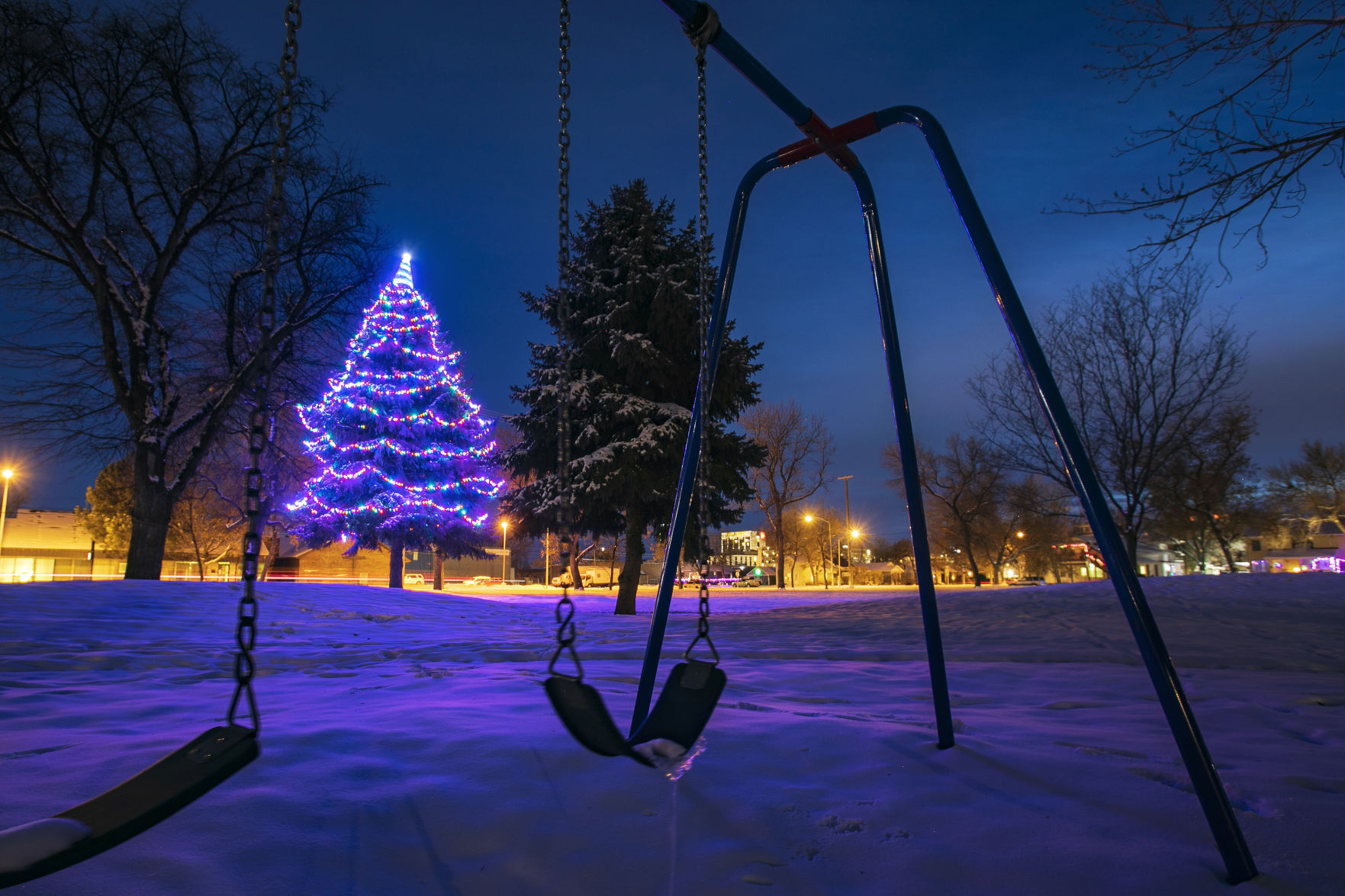 North Park Christmas Tree